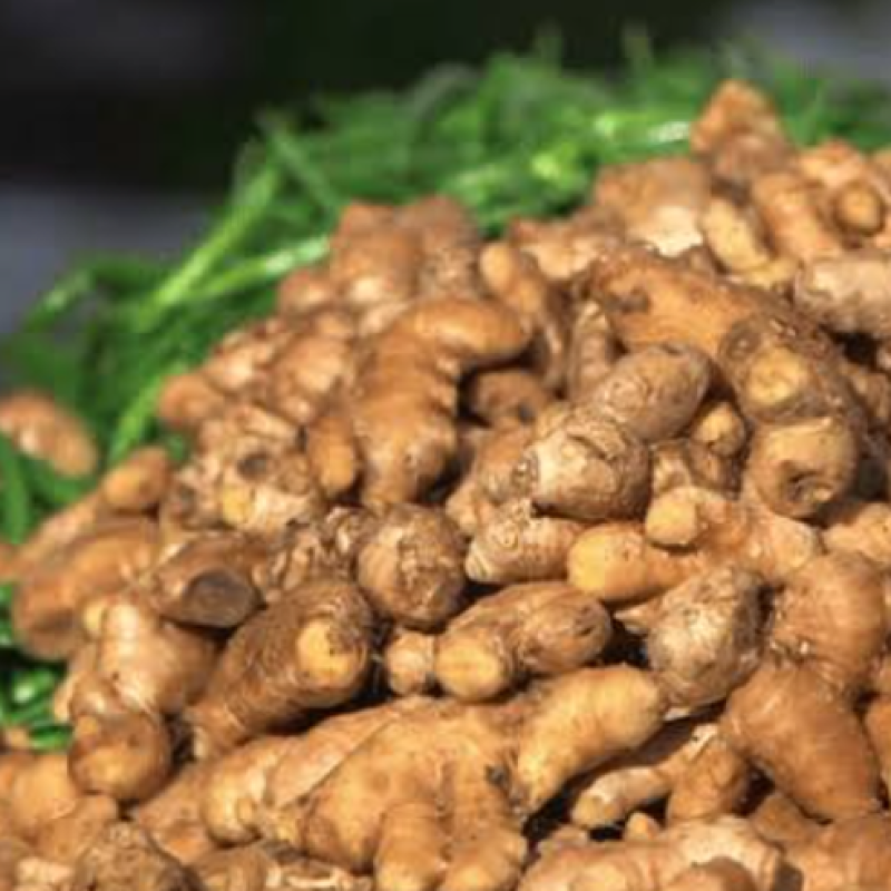 Ginger from Nigeria